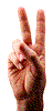 lesbian index finger