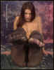 sh000037.jpg (37507 Byte)