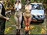pnygl012.jpg