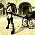 sj-lsd59fr-waiting1.jpg